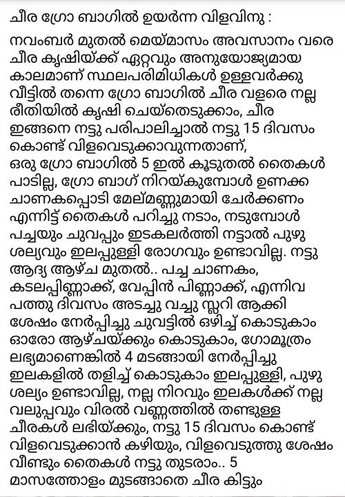 guide to cultivation of cheera amaranthus plants