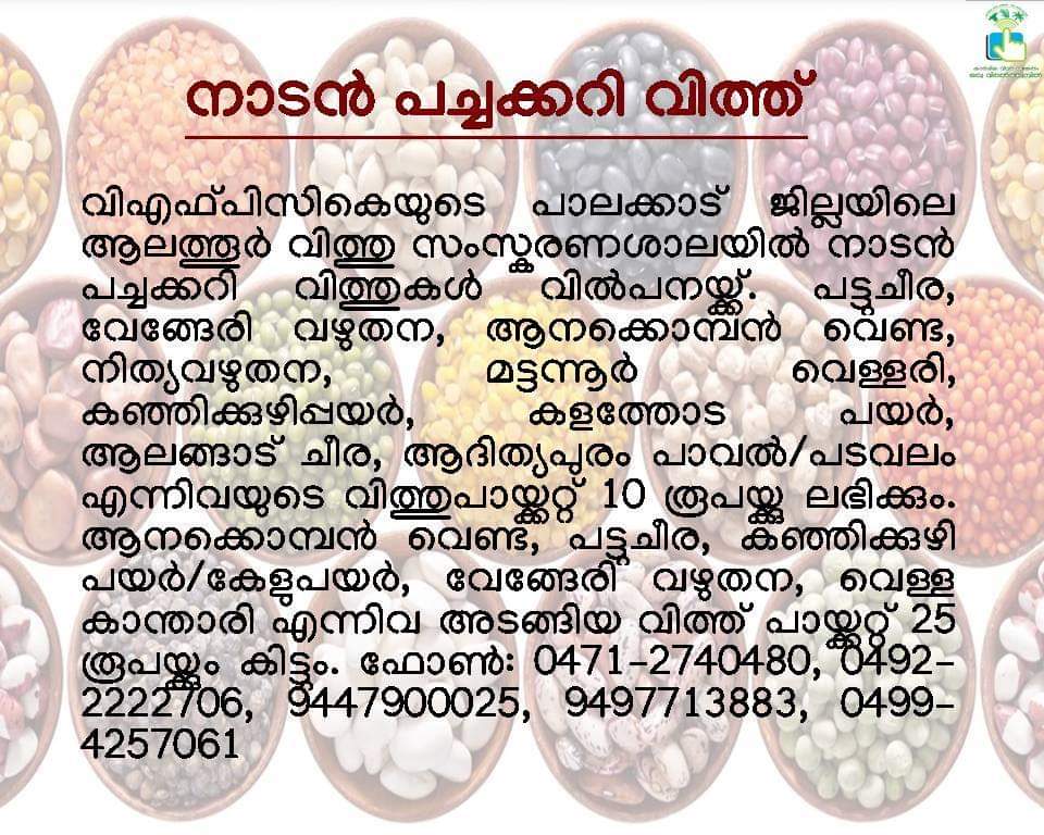 native naadan vegetable seeds